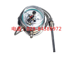 WTZ-288B-F全不锈钢电接点温度计