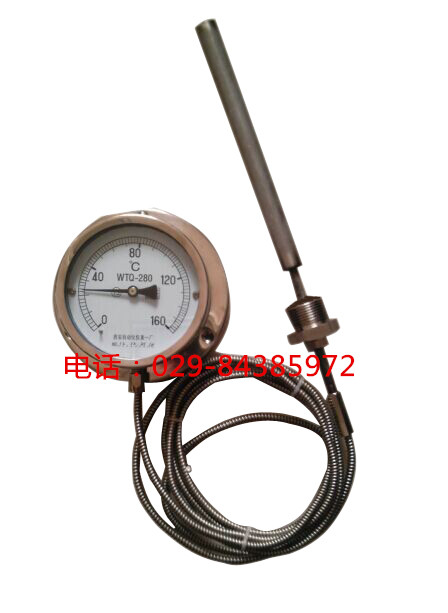  全不锈钢压力式温度计WTQ-280BF
