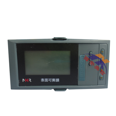 NHR-7720液晶16路显示控制仪 NHR虹润巡检仪