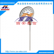 双金属温度计A5301 德国wika 威卡S5301