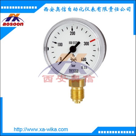 德国wika 111.11.063 黄铜材质通用安全型压力表
