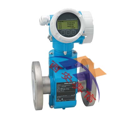德国E+H电磁流量计P200高温型 回路供电P200 西安奥信