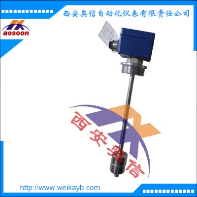 KSR液位开关ERV-3/8-VUUU-L550/12-V44A-6SIL磁性浮球开关